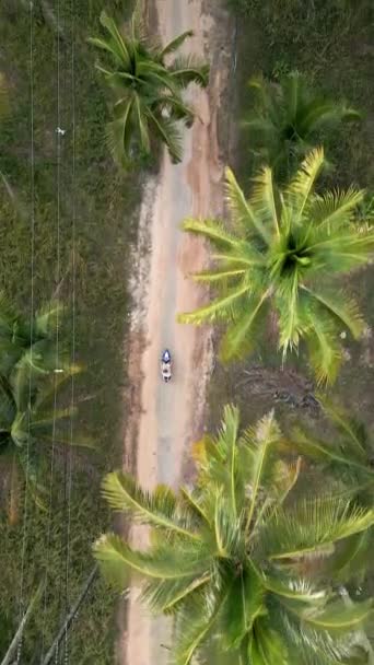 Widok Góry Skuter Jazdy Tropikalnej Drodze Lecie — Wideo stockowe