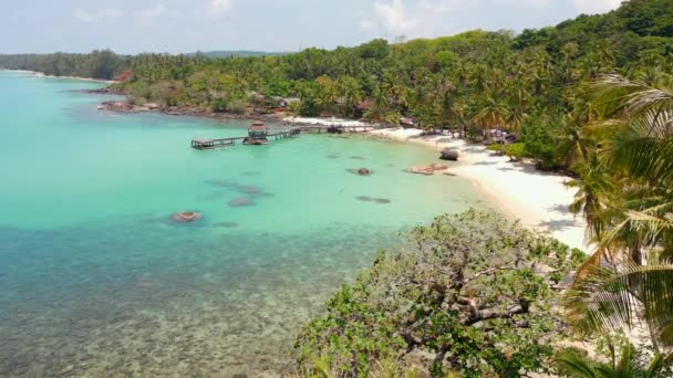 在泰国的一个天堂岛上 清澈的绿松石水 白沙和棕榈构成了伊甸园般的热带海滩风景 — 图库视频影像