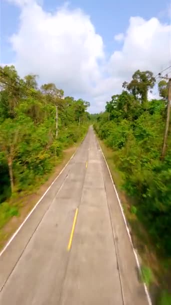 Szybki Lot Dronem Fpv Nad Tropikalną Drogą Przez Bujną Dżunglę — Wideo stockowe