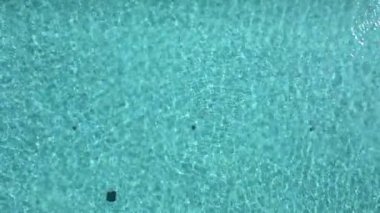 Yüzme havuzunda mavi bir su. Işığın yansımaları, havanın..