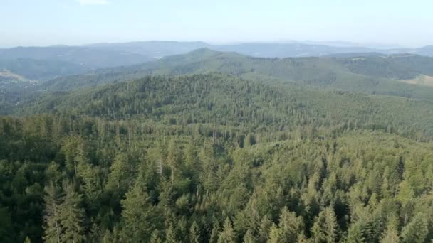 Beau Paysage Forêt Montagne Été Pologne — Video