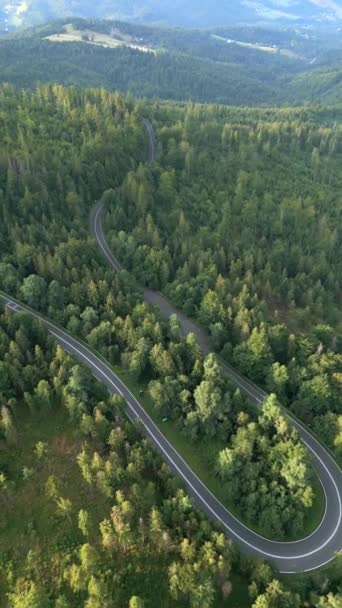 Widok Powietrza Krętą Górską Drogę Środku Zielonego Lasu Lecie — Wideo stockowe