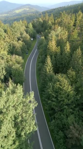 Aerial View Car Riding Mountain Road Middle Green Forest Summer — Stock Video