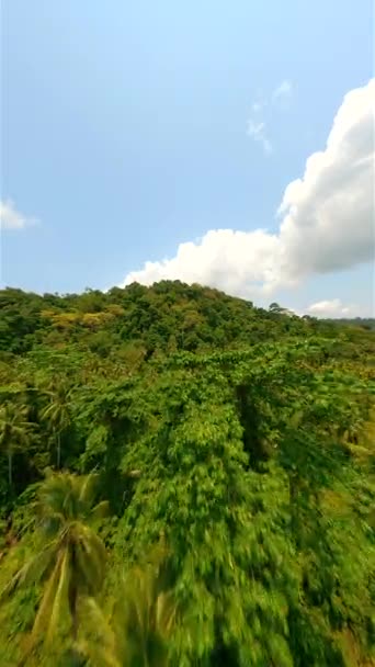 Vuelo Dinámico Drones Fpv Sobre Exuberante Selva Tropical Verano — Vídeos de Stock