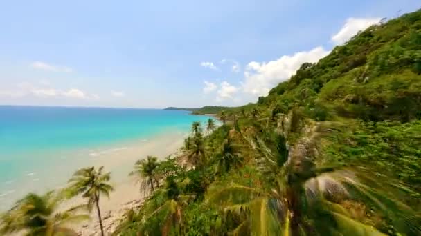 タイの美しい熱帯海岸線でヤシの丘の上を飛行するPvドローン — ストック動画