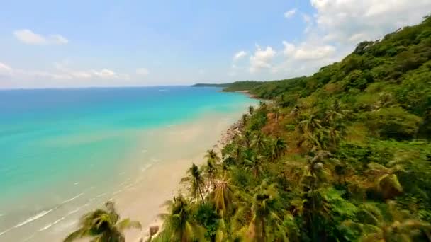 パームの丘の上を飛ぶFpvドローンとタイの美しい熱帯海岸線 — ストック動画