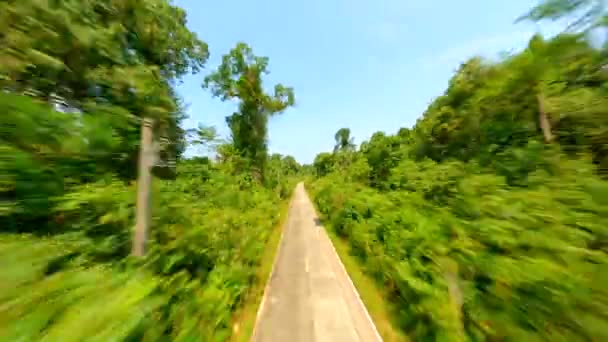 Snelle Fpv Drone Vlucht Tropische Weg Door Het Weelderige Regenwoud — Stockvideo