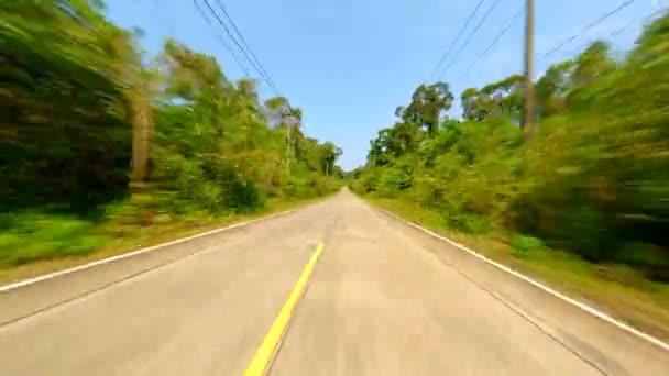 Szybki Lot Dronem Fpv Nad Tropikalną Drogą Przez Bujny Las — Wideo stockowe