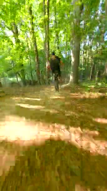 Skakanie Rowerem Rampie Lesie — Wideo stockowe