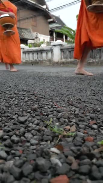 和尚的脚靠得很近 请看外电的报道 在老挝 和尚们在朗勃拉邦的街道上漫步 收集上午的救济品 — 图库视频影像