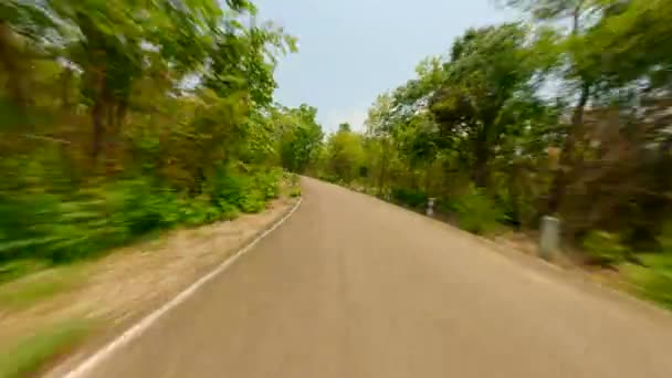 Güneşli Bir Günde Yaz Ormanının Ortasında Hızlı Fpv Insansız Hava — Stok video