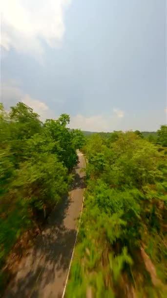 在阳光明媚的夏日 Fpv无人驾驶飞机在森林中央的路上快速飞行 — 图库视频影像