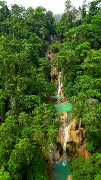 Increíble Cascada Tropical Selva Laos — Vídeo de stock