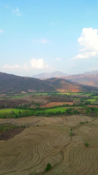 Vue Aérienne Magnifiques Paysages Montagneux Rizières Pendant Saison Sèche Laos — Video