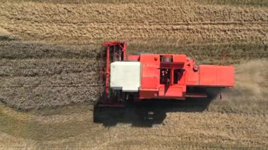Polonya 'daki bir buğday tarlasında biçerdöver birleştirme manzarası.