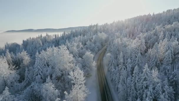 雪に覆われた松の木と冬のおとぎ話の山の森を通る景色の道の上に日の出 — ストック動画