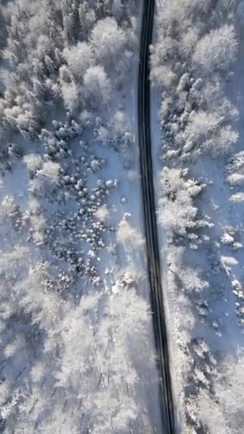 雪に覆われた松の木と冬の妖精の山林を通る景色の道のトップビュー — ストック動画