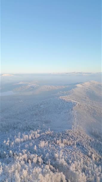 Piękny Mglisty Krajobraz Górski Widok Powietrza Nad Pokrytym Śniegiem Lasem — Wideo stockowe