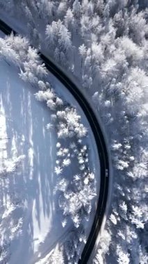 Kış manzarasında, karla kaplı çam ormanlarında sürüklenen bir arabanın baş aşağı manzarası..