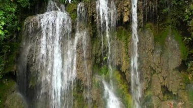 Ormandaki Tropik Şelale. Yakın plan..