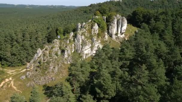 Aerial Landscape Stunning Giant Rocks Green Forest Highlands — Stock Video