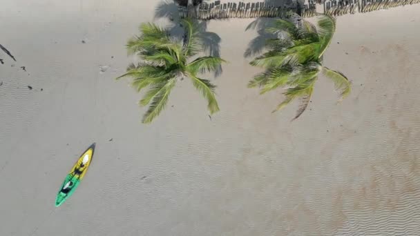 Top Scenic View Tropical White Sandy Beach Palms Kayak — Stock Video
