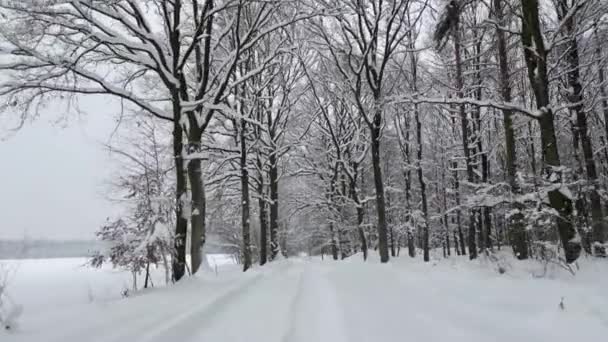 Płynny Lot Nad Pokrytą Śniegiem Drogą Zimnym Lesie — Wideo stockowe
