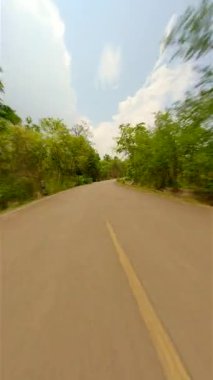 Güneşli bir günde, yaz ormanının ortasında hızlı FPV insansız hava aracı uçuşu..