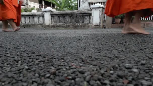 Buddyjscy Mnisi Zamykają Stopy Mnisi Spacerujący Ulicami Luang Prabang Lao — Wideo stockowe
