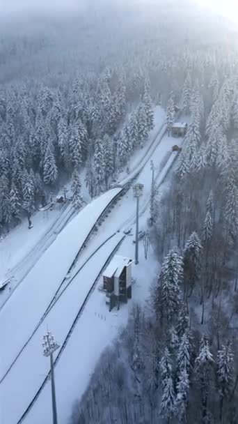 Letecký Pohled Zasněžený Skok Lyžích Horském Zimním Lese — Stock video
