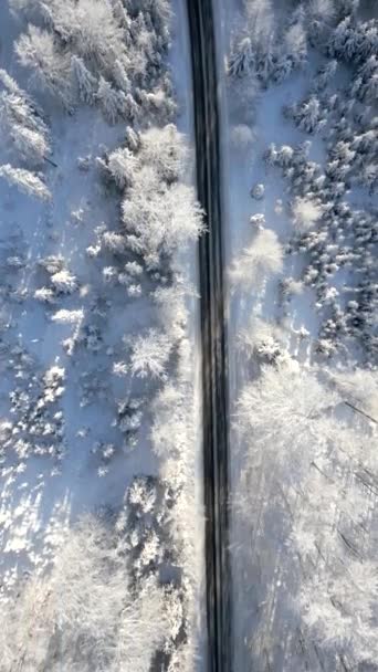 Pohled Shora Malebnou Cestu Zasněženým Zimním Horským Lesem — Stock video