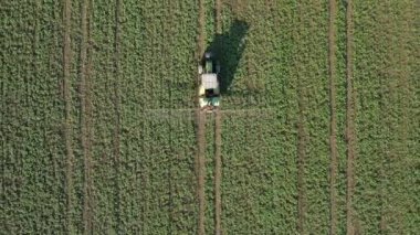 Alanı spreyleyen traktörün üst görüntüsü.