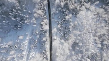 Karla kaplı çam ağaçları olan bir kış peri masalı dağ ormanının manzaralı yolu..