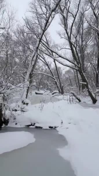 Політ Над Крижаною Замерзлою Річкою Холодному Зимовому Лісі — стокове відео