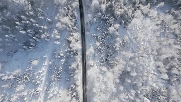 Вид Сверху Живописную Дорогу Через Зимний Сказочный Горный Лес Заснеженными — стоковое видео