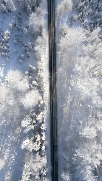 Вид Сверху Автомобили Проезжающие Через Зимний Заснеженный Лес Горах — стоковое видео