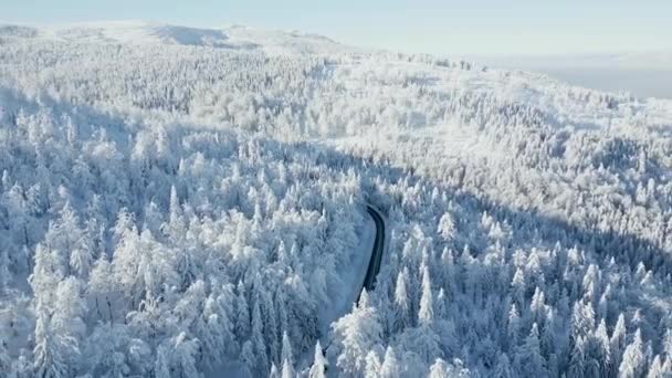 冬の不思議の国で雪の山の森を通る景色の道 — ストック動画