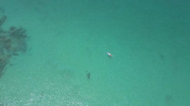 Tayland 'da kristal berraklığında tropikal deniz üzerinde uçan kayakçıların manzarası.