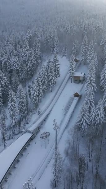 霧の山の冬の森で雪のスキー飛行丘の空中ビュー — ストック動画
