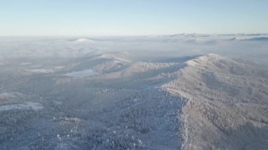 Yüksekten güzel, buzlu dağ ormanı manzarası.