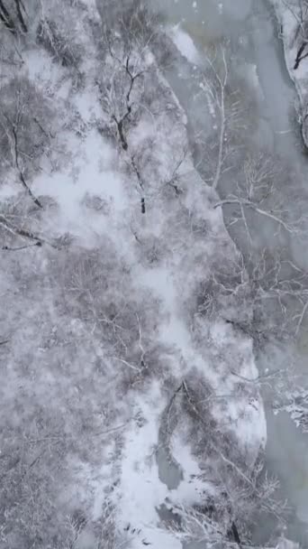 Widok Góry Lodowatej Zamarzniętej Rzeki Zimnym Lesie — Wideo stockowe