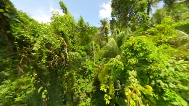 Lot Przez Bujny Tropikalny Las Deszczowy Słoneczny Dzień Tajlandii — Wideo stockowe