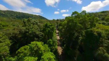 Hızlı FPV insansız hava aracı yazın yemyeşil yağmur ormanlarında tropikal yol üzerinde uçuyor..