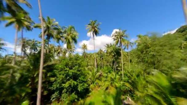 Fpv Drone Vliegen Door Het Weelderige Tropische Regenwoud Dicht Bij — Stockvideo