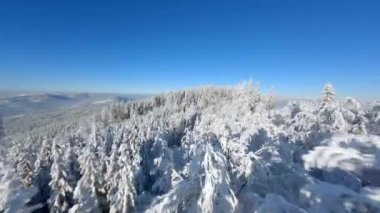 Dağlardaki peri masalı kış ormanlarında karla kaplı ağaçların arasında FPV uçuşu inanılmaz..