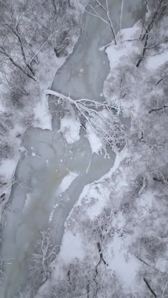 Κάτοψη Του Παγωμένου Παγωμένου Ποταμού Ψυχρό Χειμερινό Δάσος — Αρχείο Βίντεο