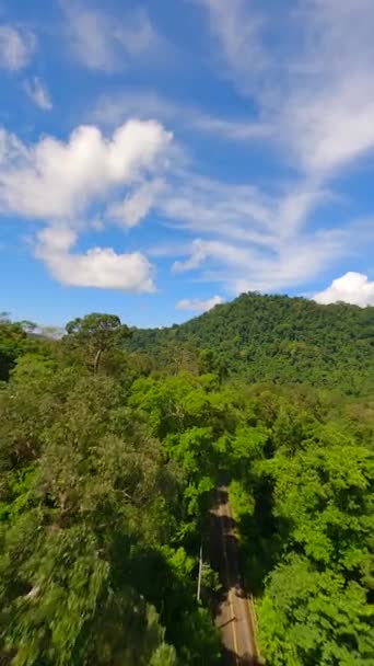 Кинематографический Полет Над Джунглями Тропическом Острове Таиланде — стоковое видео