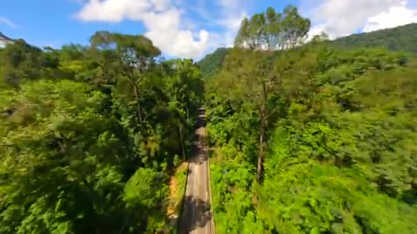 Samochód Jadący Drogą Tropikalnej Dżungli Tajlandii — Wideo stockowe