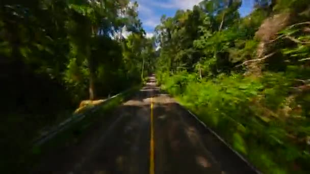 Szybki Lot Fpv Nad Tropikalną Drogą Dżungli Tajlandii — Wideo stockowe