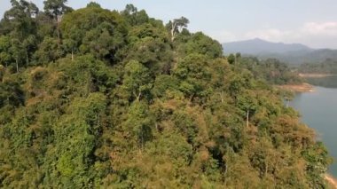 Khao Sok, Tayland 'daki Çiğneme Gölü' nün havadan görünüşü.